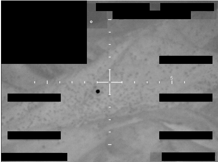 FBI FLIR/Sensor Imagery — Series A - Image 10